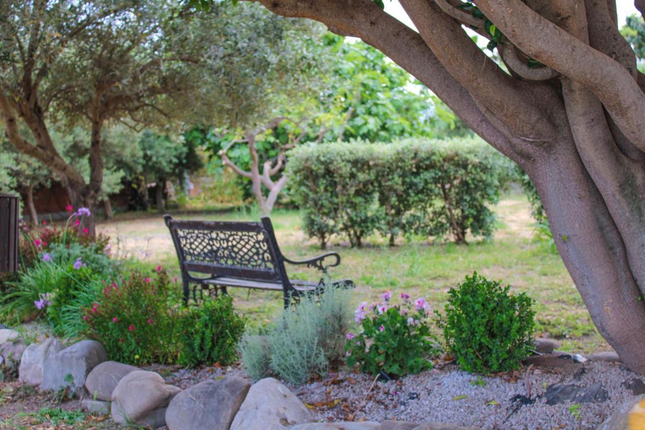 La Casa Di Lina - Capo D'Orlando, Casa Con Ampio Giardino Villa Dış mekan fotoğraf
